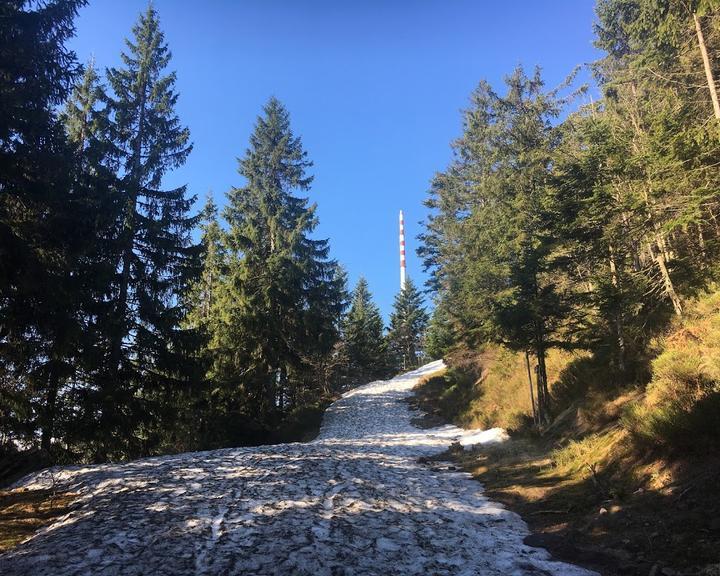 Hochkopf-Stub